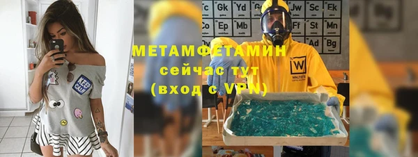 прущие грибы Абаза