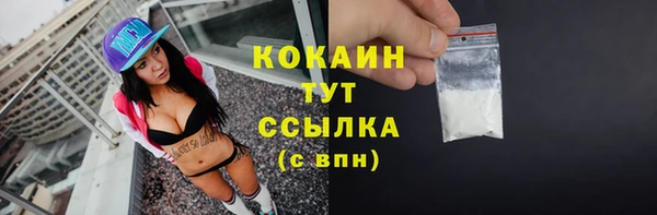 прущие грибы Абаза