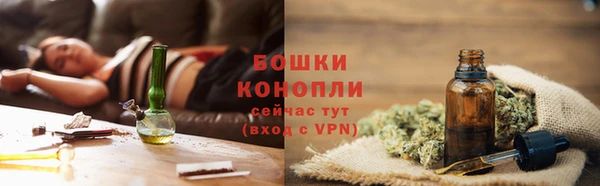 прущие грибы Абаза