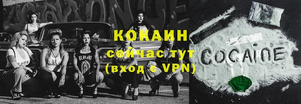 прущие грибы Абаза