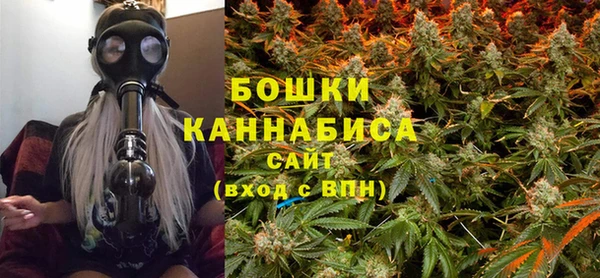 прущие грибы Абаза